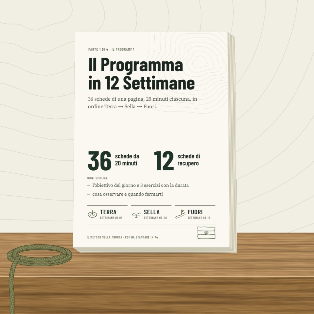 Il Programma in 12 Settimane