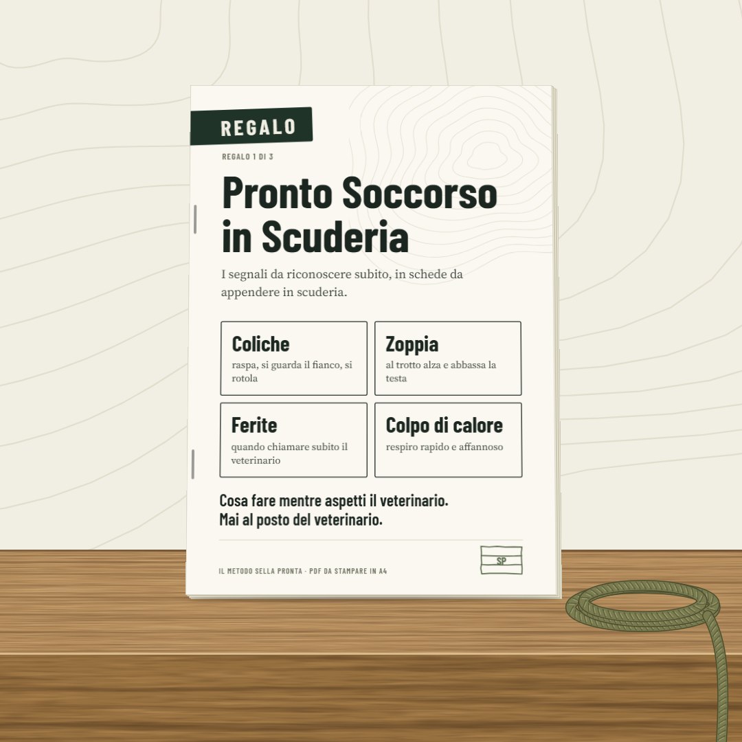 Pronto Soccorso in Scuderia